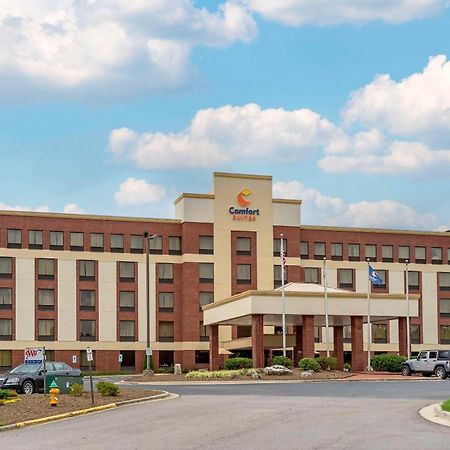 Comfort Suites Outlet Center Asheville Exteriér fotografie